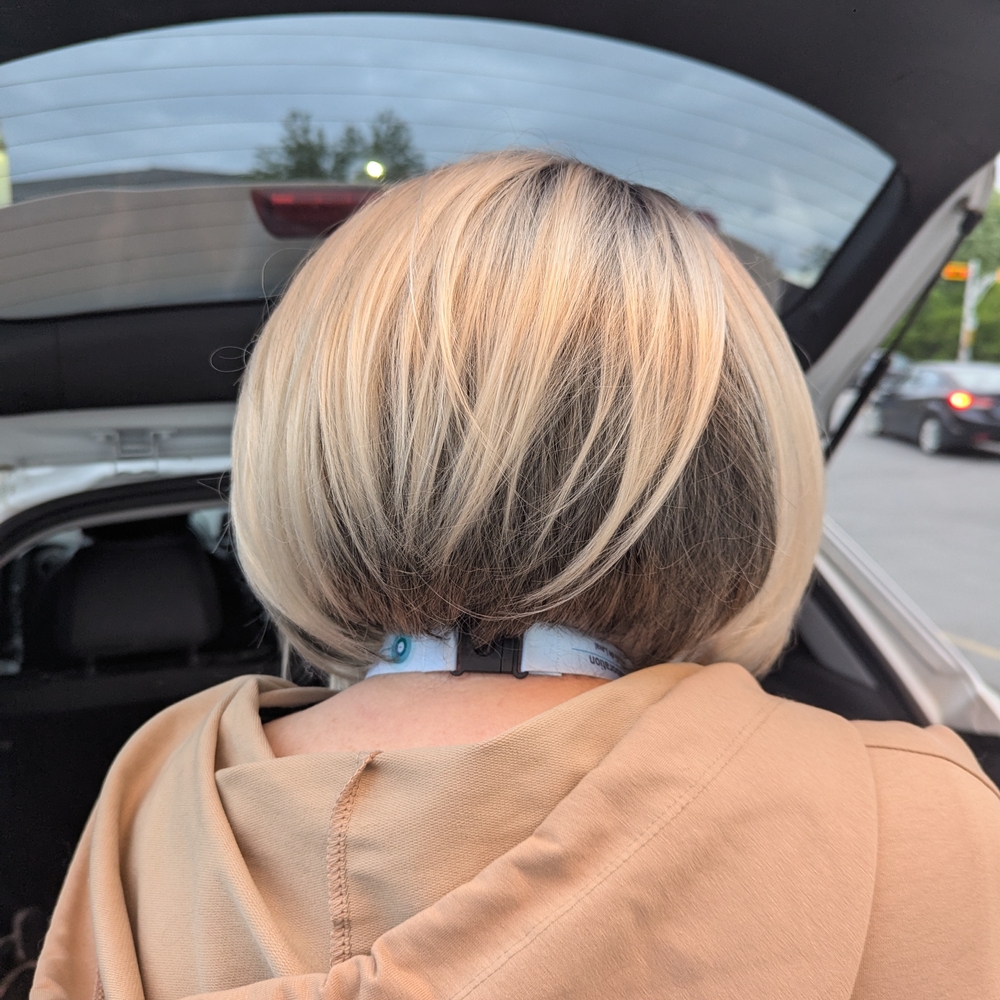 Stylish Blonde Ombre Wig